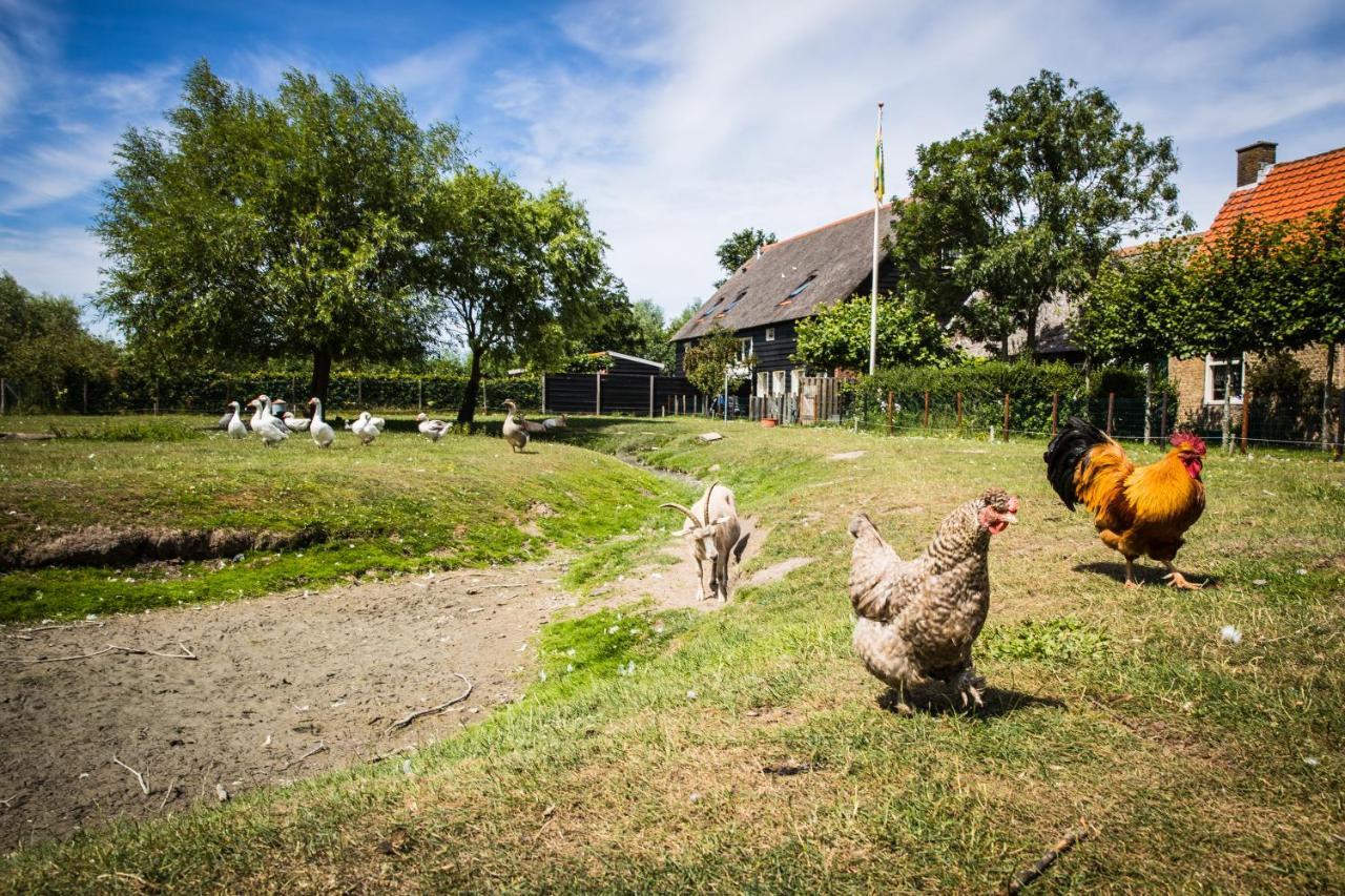 Welcome In - Oranjezon - Vakantiehuizen 2 & 4 Personen Vrouwenpolder Exteriér fotografie